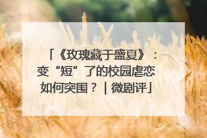 《玫瑰藏于盛夏》：变“短”了的校园虐恋如何突围？｜微剧评