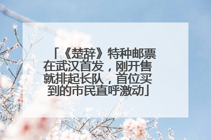 《楚辞》特种邮票在武汉首发，刚开售就排起长队，首位买到的市民直呼激动