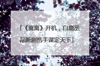 《莫离》开机，白鹿丞磊新剧携手谋定天下