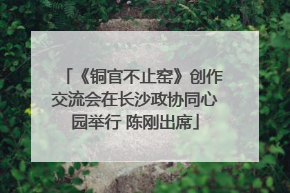 《铜官不止窑》创作交流会在长沙政协同心园举行 陈刚出席