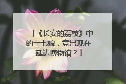 《长安的荔枝》中的十七娘，竟出现在延边博物馆？