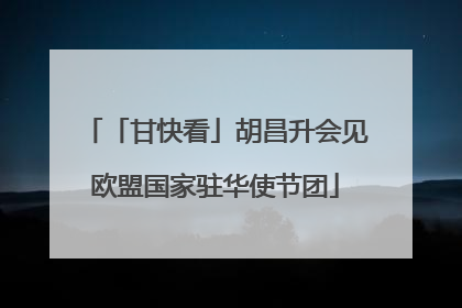 「甘快看」胡昌升会见欧盟国家驻华使节团
