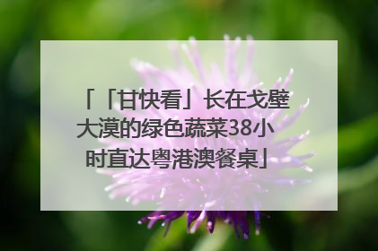 「甘快看」长在戈壁大漠的绿色蔬菜38小时直达粤港澳餐桌