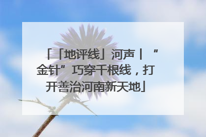 「地评线」河声丨“金针”巧穿千根线，打开善治河南新天地