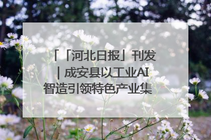 「河北日报」刊发｜成安县以工业AI智造引领特色产业集群迭代升级
