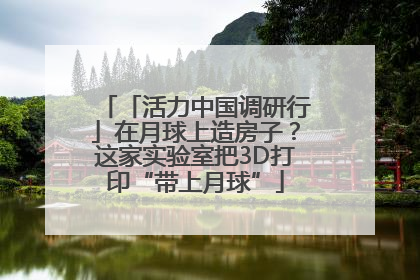 「活力中国调研行」在月球上造房子？这家实验室把3D打印“带上月球”