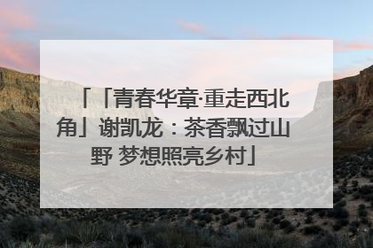 「青春华章·重走西北角」谢凯龙：茶香飘过山野 梦想照亮乡村