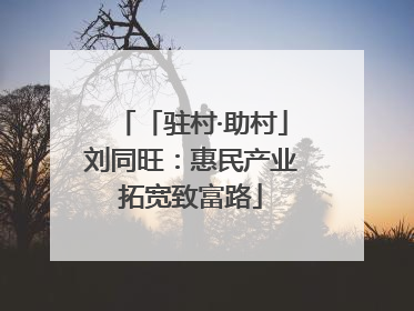 「驻村·助村」刘同旺：惠民产业拓宽致富路