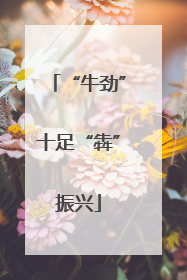 “牛劲”十足“犇”振兴