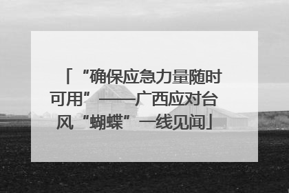 “确保应急力量随时可用”——广西应对台风“蝴蝶”一线见闻