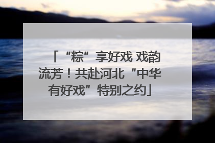 “粽”享好戏 戏韵流芳！共赴河北“中华有好戏”特别之约