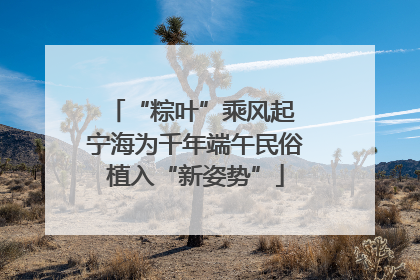 “粽叶”乘风起 宁海为千年端午民俗植入“新姿势”