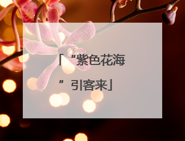 “紫色花海”引客来