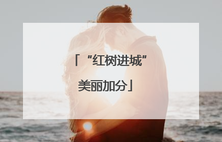 “红树进城” 美丽加分