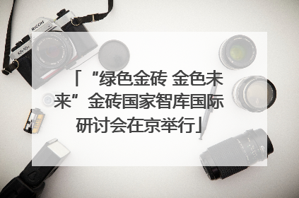 “绿色金砖 金色未来”金砖国家智库国际研讨会在京举行