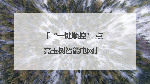 “一键顺控” 点亮玉树智能电网