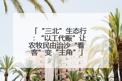 “三北”生态行：“以工代赈”让农牧民由治沙“看客”变“主角”