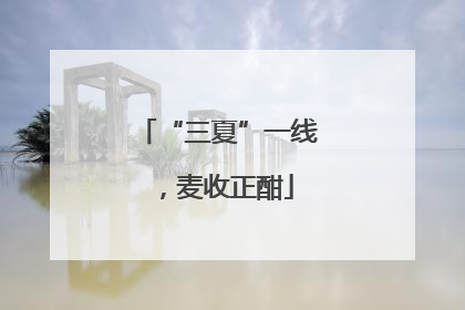 “三夏”一线，麦收正酣