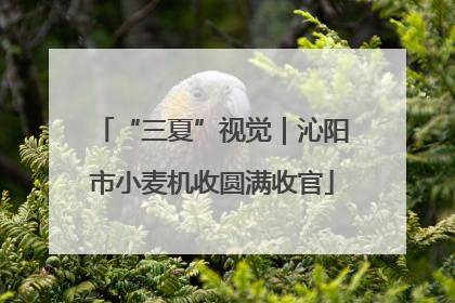 “三夏”视觉｜沁阳市小麦机收圆满收官