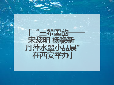 “三希墨韵——宋黎明 杨稳新 丹萍水墨小品展”在西安举办