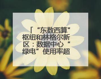 “东数西算”枢纽和林格尔新区：数据中心“绿电”使用率超80%