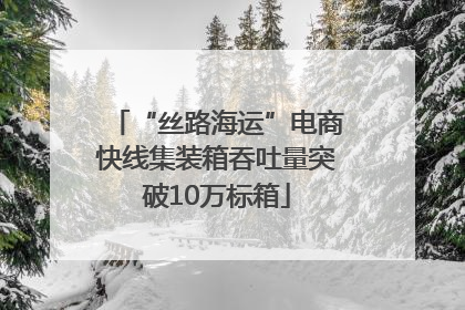 “丝路海运”电商快线集装箱吞吐量突破10万标箱