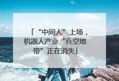 “中间人”上场，机器人产业“真空地带”正在消失