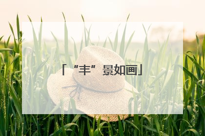 “丰”景如画