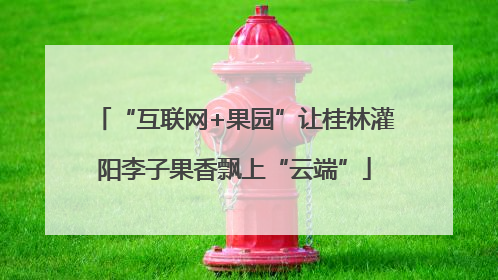 “互联网+果园”让桂林灌阳李子果香飘上“云端”