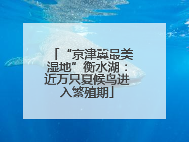 “京津冀最美湿地”衡水湖：近万只夏候鸟进入繁殖期