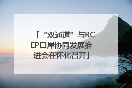 “双通道”与RCEP口岸协同发展推进会在怀化召开