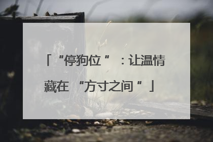 “停狗位 ”：让温情藏在 “方寸之间 ”