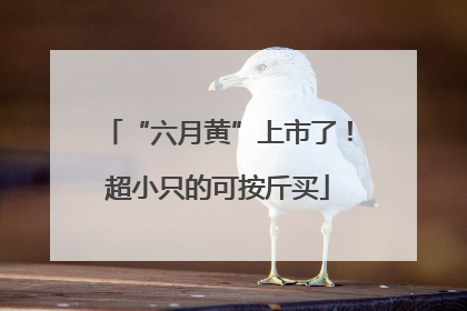 “六月黄”上市了！超小只的可按斤买