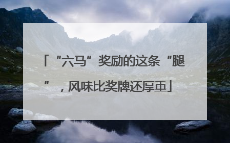 “六马”奖励的这条“腿”，风味比奖牌还厚重