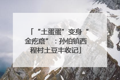 “土蛋蛋”变身“金疙瘩”：孙伯镇西程村土豆丰收记