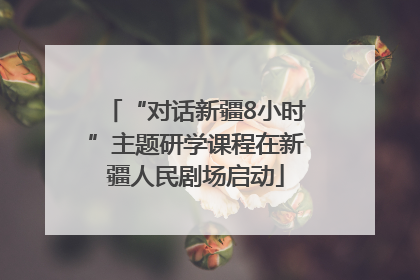 “对话新疆8小时”主题研学课程在新疆人民剧场启动