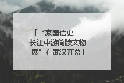 “家国信史——长江中游简牍文物展”在武汉开幕