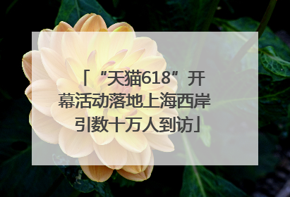 “天猫618”开幕活动落地上海西岸 引数十万人到访