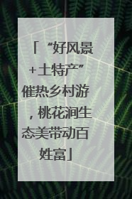 “好风景+土特产”催热乡村游，桃花涧生态美带动百姓富