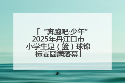 “奔跑吧·少年”2025年丹江口市小学生足（篮）球锦标赛圆满落幕
