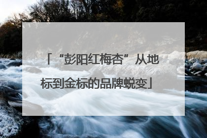 “彭阳红梅杏”从地标到金标的品牌蜕变