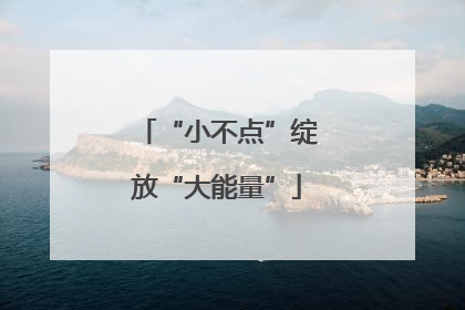 “小不点”绽放“大能量”