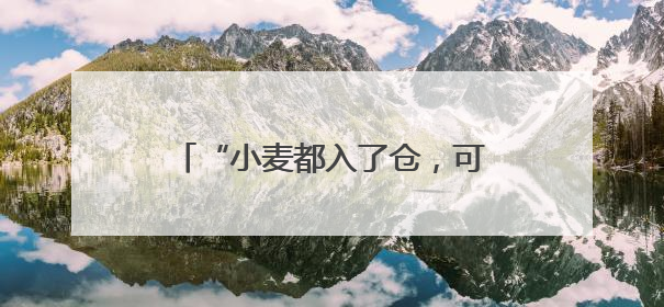 “小麦都入了仓，可以睡个安稳觉了”