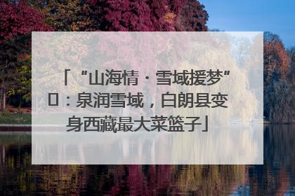 “山海情・雪域援梦”⑪：泉润雪域，白朗县变身西藏最大菜篮子