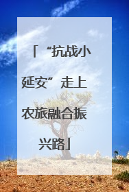 “抗战小延安”走上农旅融合振兴路