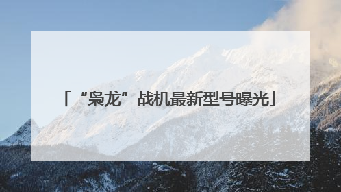 “枭龙”战机最新型号曝光