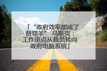 “政府效率部成了替罪羊” 马斯克：工作重点从裁员转向政府电脑系统
