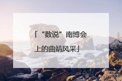 “数说”南博会上的曲靖风采