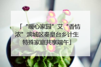 “暖心家园”艾“香情浓”滨城区秦皇台乡计生特殊家庭共享端午