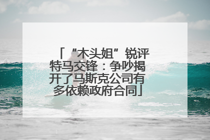 “木头姐”锐评特马交锋：争吵揭开了马斯克公司有多依赖政府合同